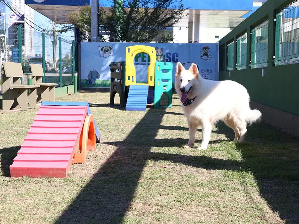 Espaço Pet