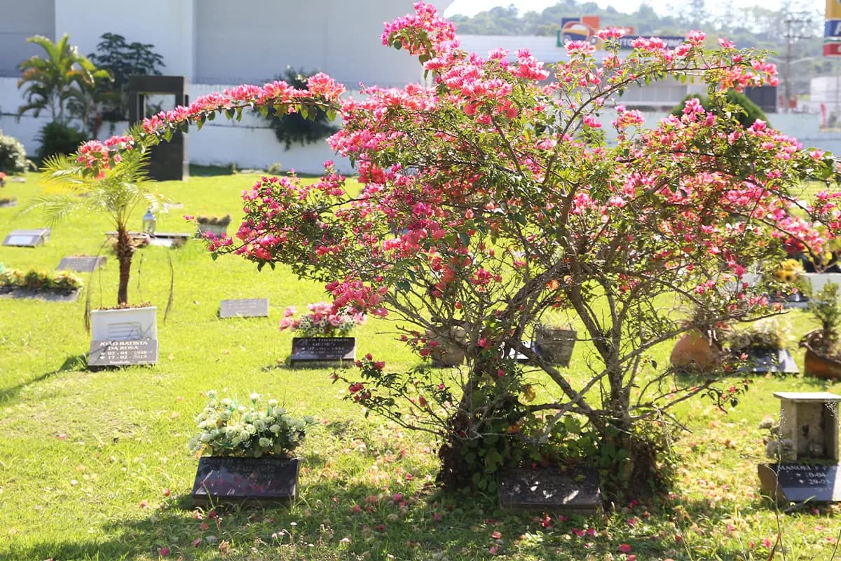 Espaço 3